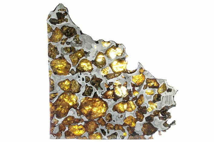 Polished Imilac Pallasite Meteorite ( g) Slice #309042